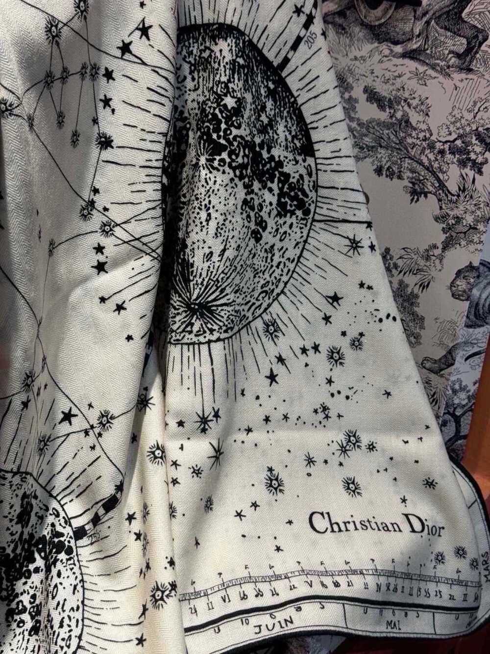 Dior Scarf - Picture 10 of 11